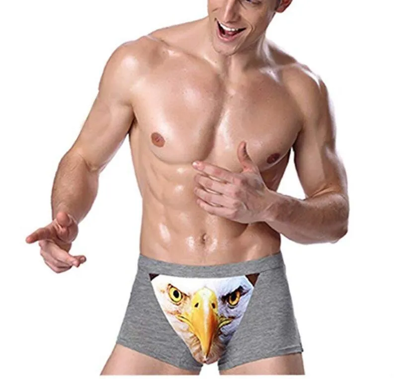 4 Pack Adult Mens 3D Wolf Eagle Boxer Briefs Animal Print Underwear Shorts Pants