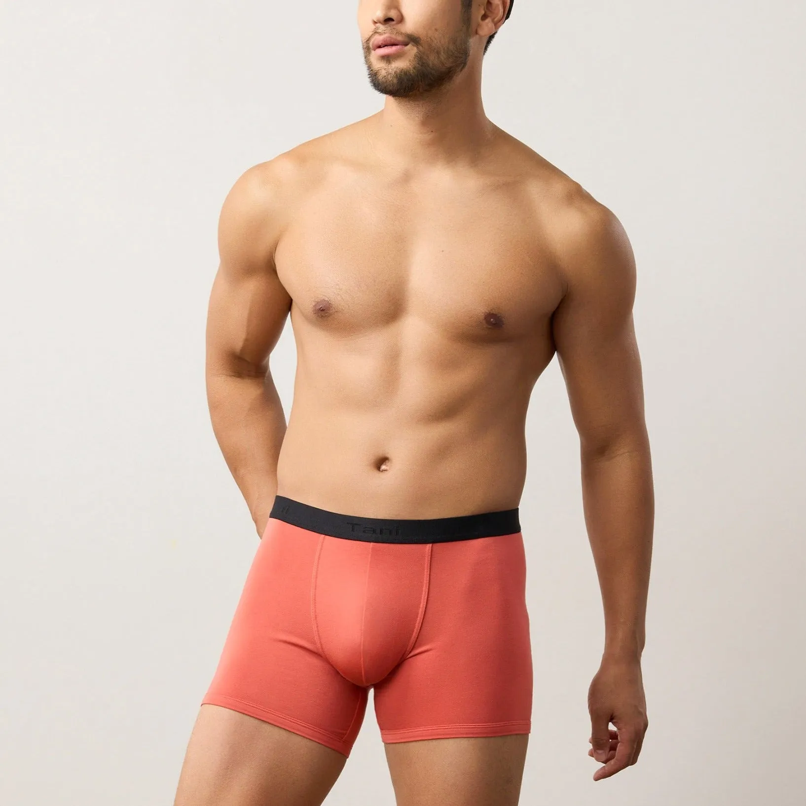 4 Pack Silktouch TENCEL™ Modal Air Waistband Boxer Brief (Seasonal)