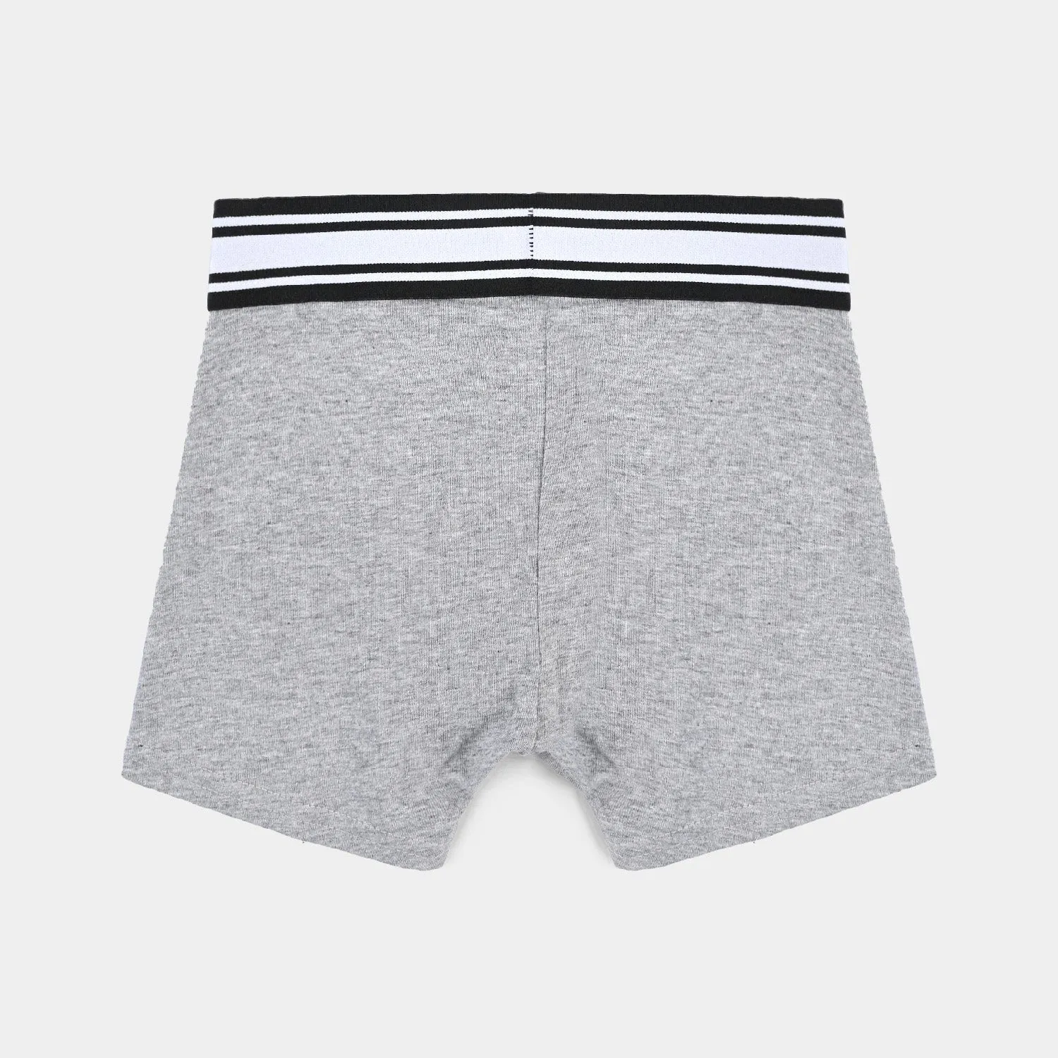 Boys Cotton Jersey Boxer Pack of 2 Basic-Heather Grey