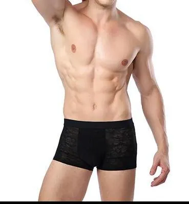 CHENKE365  Men Boxers Underwear Fiber Silk Boxer Spandex spande Underwear Shorts Slip Mens Boxer Shorts Manufacturers