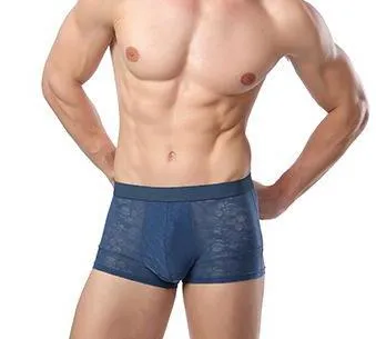 CHENKE365  Men Boxers Underwear Fiber Silk Boxer Spandex spande Underwear Shorts Slip Mens Boxer Shorts Manufacturers