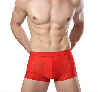 CHENKE365  Men Boxers Underwear Fiber Silk Boxer Spandex spande Underwear Shorts Slip Mens Boxer Shorts Manufacturers