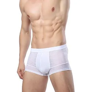 CHENKE365  Men Boxers Underwear Fiber Silk Boxer Spandex spande Underwear Shorts Slip Mens Boxer Shorts Manufacturers