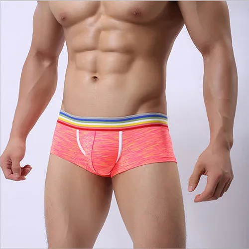 LOBEIOK new sexy men's Boxer Shorts underpants men Boxers home sexy Plus Size Boxers 4 color L XL XXL XXXL male underwear