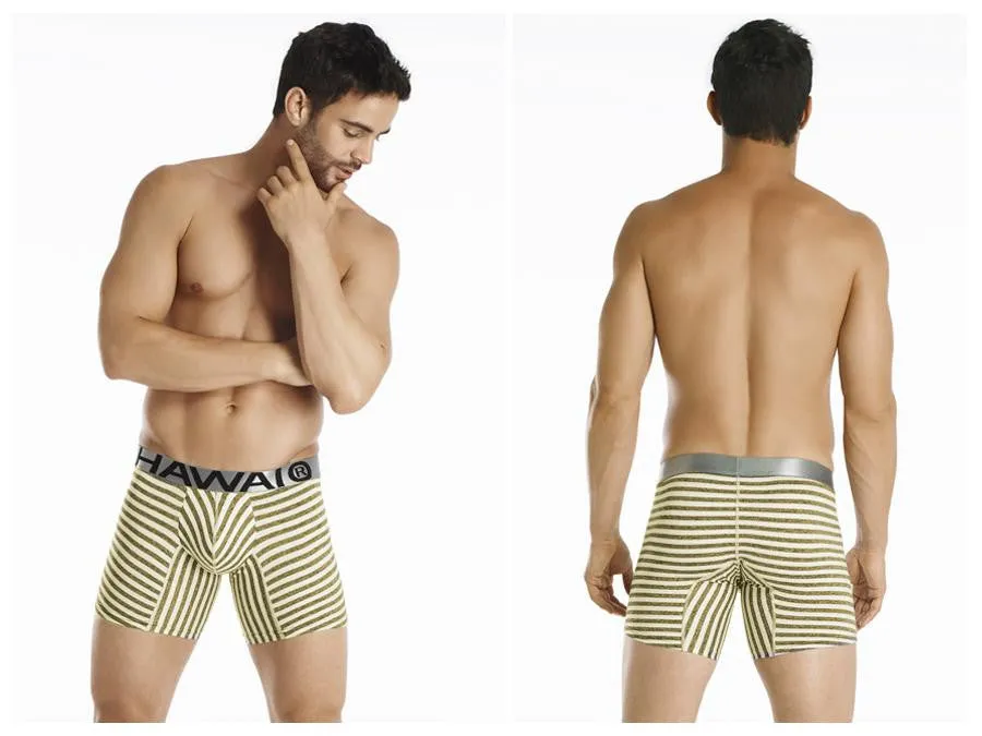 Microfiber Hypnose Boxer Brief