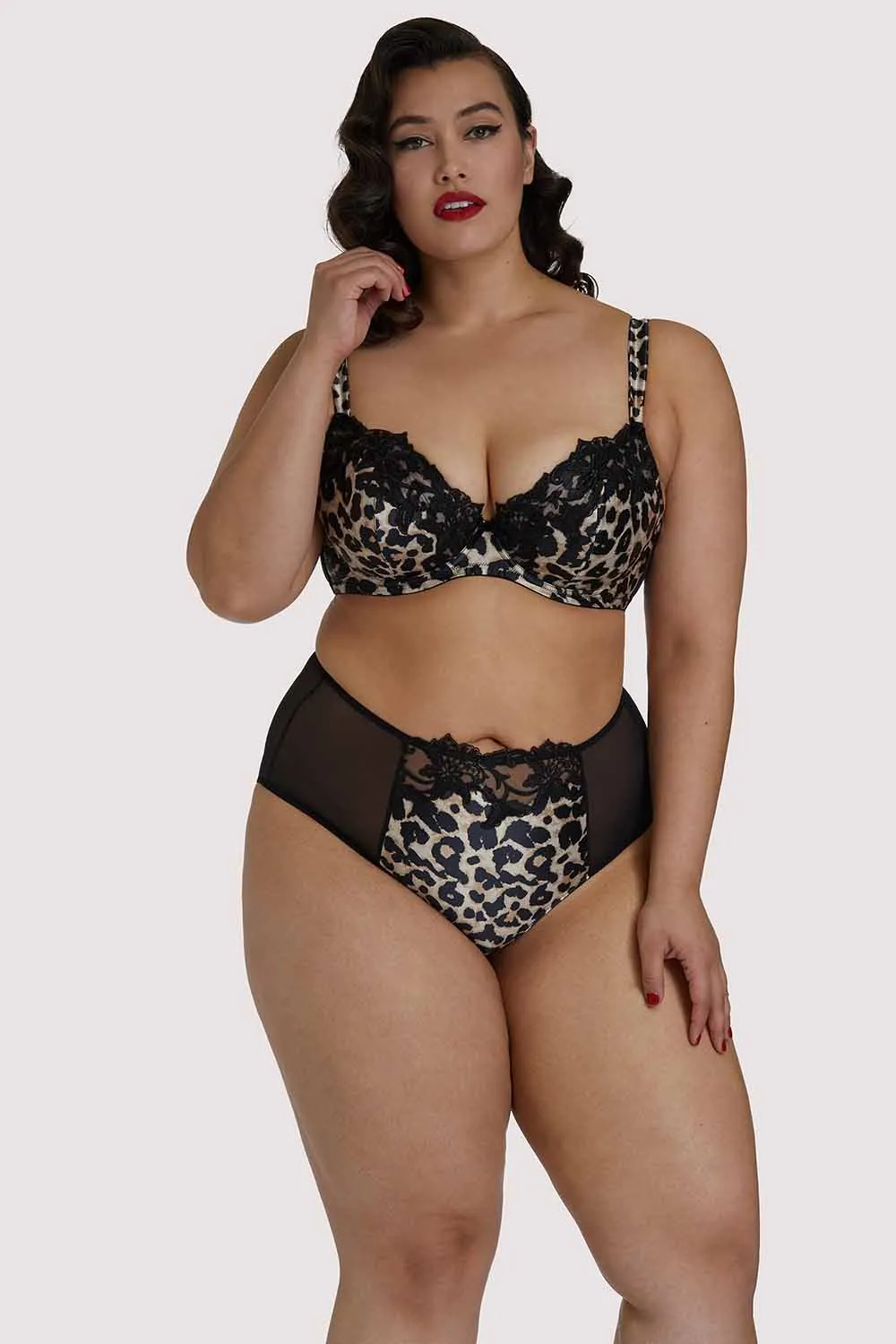 Millicent Leopard High Waist Curve Brief