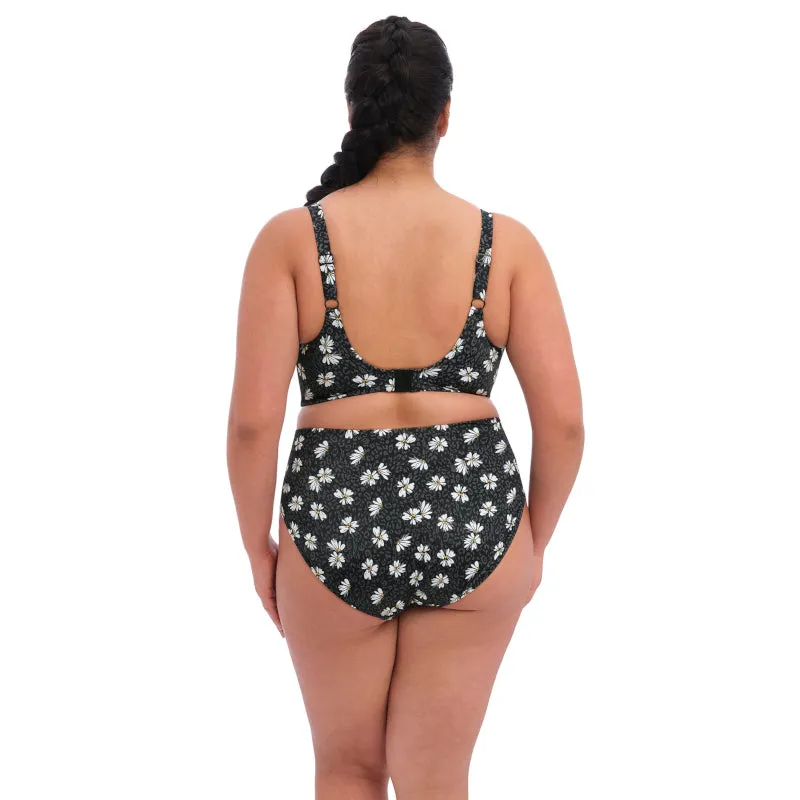 Plain Sailing Bikini Brief Black Daisy Print - Elomi Swim