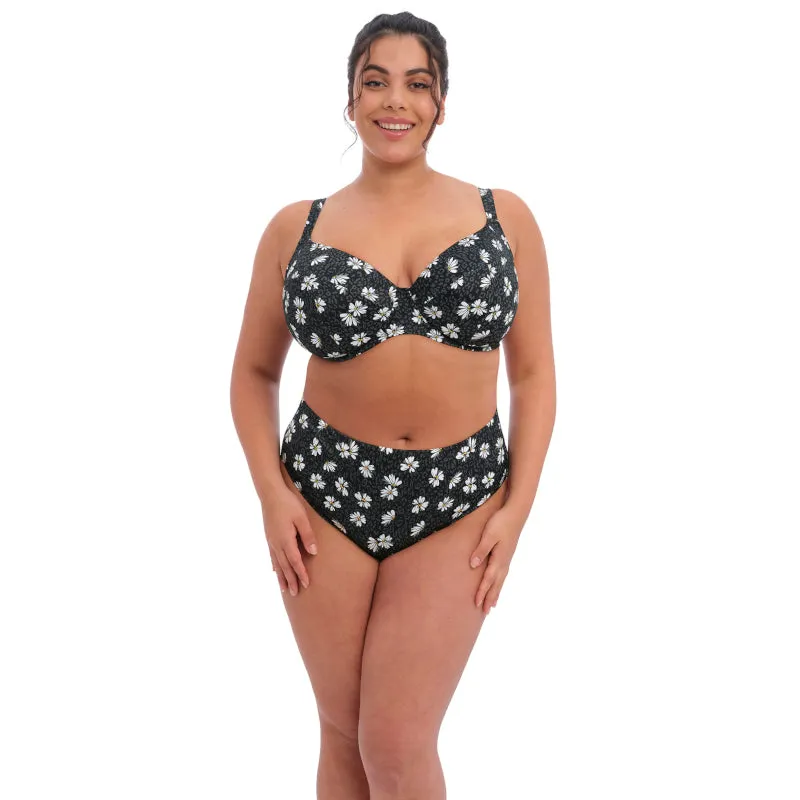 Plain Sailing Bikini Brief Black Daisy Print - Elomi Swim